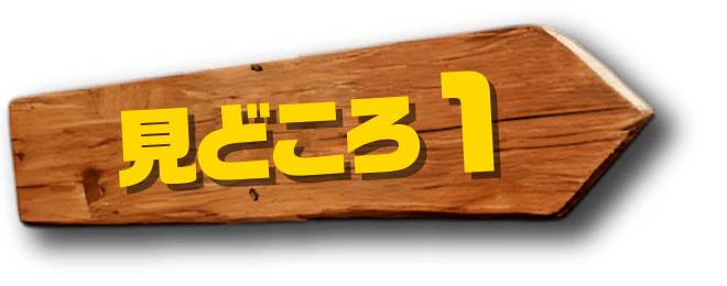 見どころ1